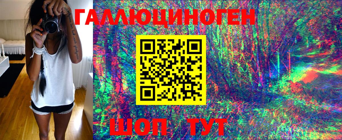 Ленинск-Кузнецкий  Псилоцибиновые грибы Cubensis  Вход с VPN 