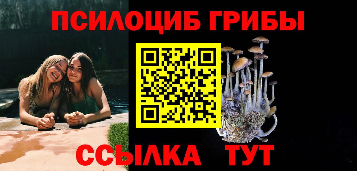 Галлюциногенные грибы мицелий Ленинск-Кузнецкий